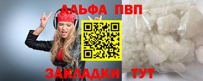 молекула духа Кингисепп
