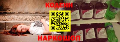 молекула духа Кингисепп