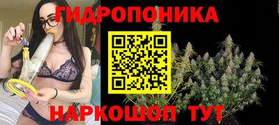 бошки Кимры