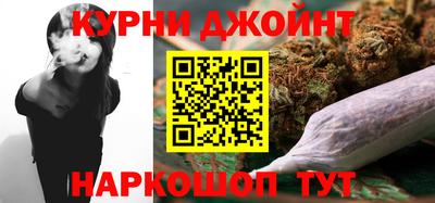 молекула духа Кингисепп