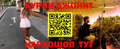 молекула духа Кингисепп