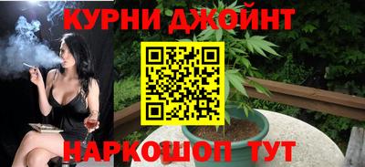 молекула духа Кингисепп