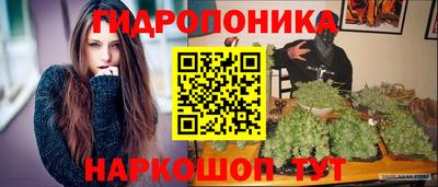 бошки Кимры