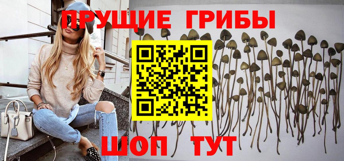 Галлюциногенные грибы Psilocybine cubensis  Вход с VPN  Галлюциногенные грибы мицелий  Учалы 